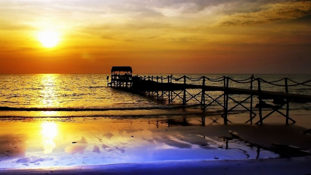 最新研究揭示塑胶跑道材料特性！